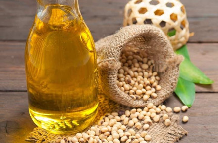 Refined Soybean Oil